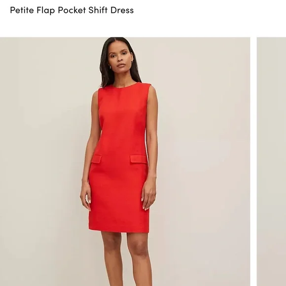 Ann Taylor Flap Pocket Shift Dress - Picture 6 of 9